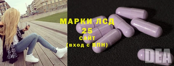 прущие грибы Алексин